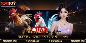 এরিনা রয়্যাল প্রো - নিয়ম, রাউন্ড ও খেলার ব্যবহারিক নির্দেশনা