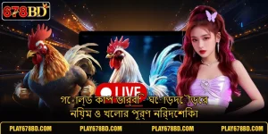 গোল্ড কাপ ডার্বি - ঘোড়দৌড়ের নিয়ম ও খেলার পূর্ণ নির্দেশিকা
